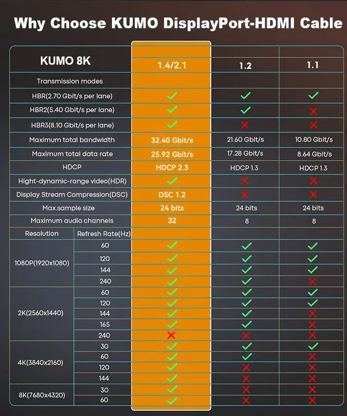 8K Display Port 1y24