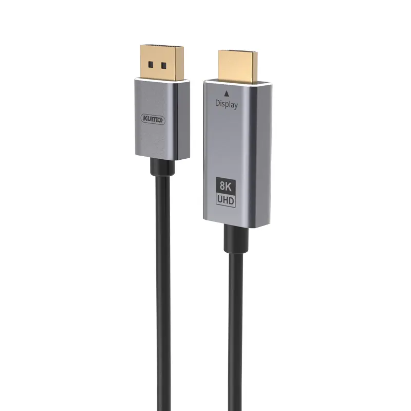 DisplayPort Conversion Cable