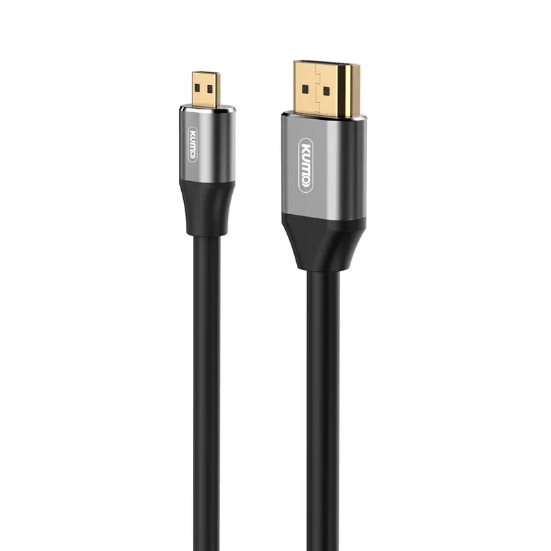 HDMI Conversion Cable
